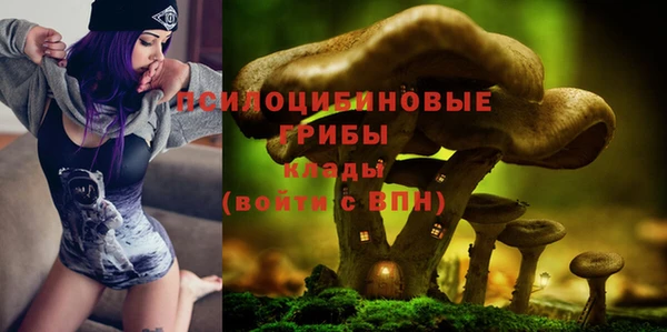 ALPHA PVP Алексеевка