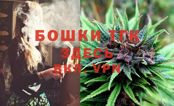 apvp Аркадак