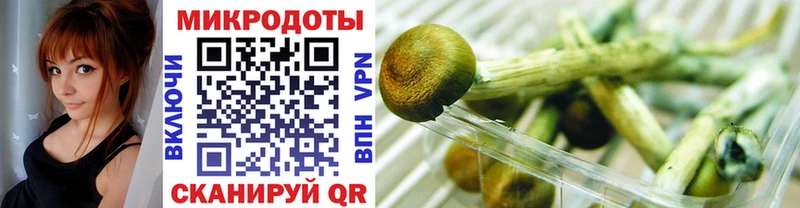 наркота Нурлат Галлюциногенные грибы Psilocybe